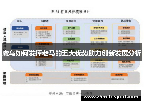 魔鸟如何发挥老马的五大优势助力创新发展分析 魔鸟如何发挥老马的五大优势助力创新发展分析