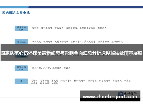 国家队核心伤停球员最新动态与影响全面汇总分析深度解读及前景展望 国家队核心伤停球员最新动态与影响全面汇总分析深度解读及前景展望