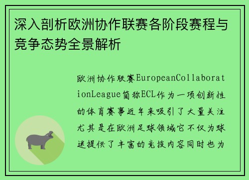 深入剖析欧洲协作联赛各阶段赛程与竞争态势全景解析