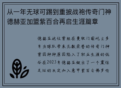 从一年无球可踢到重披战袍传奇门神德赫亚加盟紫百合再启生涯篇章 从一年无球可踢到重披战袍传奇门神德赫亚加盟紫百合再启生涯篇章